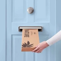 Dunelm Thistle Berry And Eucalyptus Letterbox Bouquet -Cool Decoration 30748822 alt04