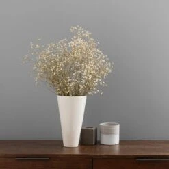 Dunelm Dried White Gypsophila Bundle