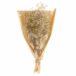 Dunelm Dried White Gypsophila Bundle -Cool Decoration 30748843 alt04