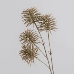 Dunelm Natural Teasel 66cm -Cool Decoration 30749000 alt01