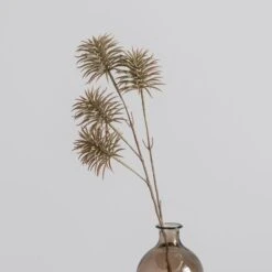 Dunelm Natural Teasel 66cm -Cool Decoration 30749000 alt03