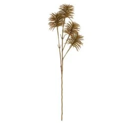 Dunelm Natural Teasel 66cm -Cool Decoration 30749000 alt04