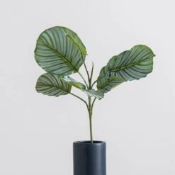 Dunelm Artificial Calathea Stem -Cool Decoration 30749027 alt03