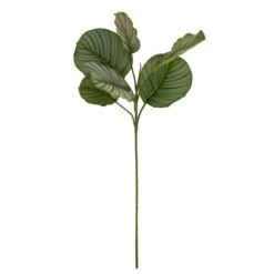 Dunelm Artificial Calathea Stem -Cool Decoration 30749027 alt04