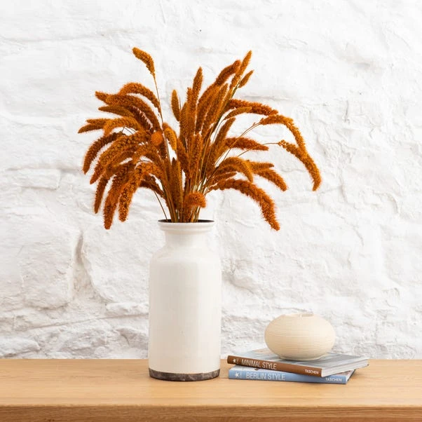 Dunelm Dried 55cm Orange Setaria Macrostachia Bundle 3 Dunelm Dried 55cm Orange Setaria Macrostachia Bundle