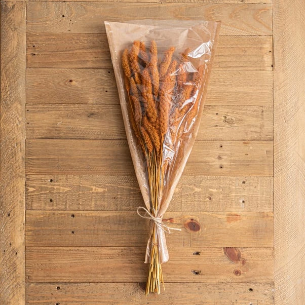 Dunelm Dried 55cm Orange Setaria Macrostachia Bundle 4 Dunelm Dried 55cm Orange Setaria Macrostachia Bundle - Image 2