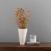 Dunelm Dried Natural Wild Daisy Bundle -Cool Decoration 30751174