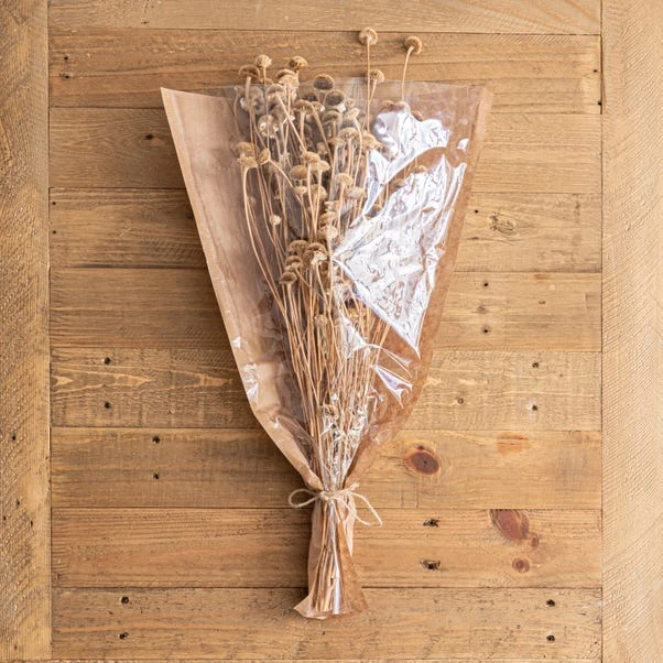 Dunelm Dried Natural Wild Daisy Bundle 4 Dunelm Dried Natural Wild Daisy Bundle - Image 2