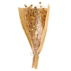 Dunelm Dried Natural Wild Daisy Bundle 13 Dunelm Dried Natural Wild Daisy Bundle -Cool Decoration 30751174 alt05