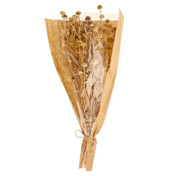 Dunelm Dried Natural Wild Daisy Bundle 8 Dunelm Dried Natural Wild Daisy Bundle - Image 6