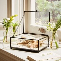 Natural History Museum Small Trinket Box 18cm -Cool Decoration 30752231 alt02