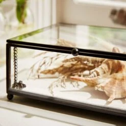 Natural History Museum Small Trinket Box 18cm -Cool Decoration 30752231 alt03