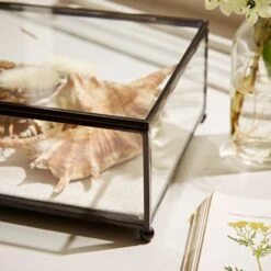 Natural History Museum Small Trinket Box 18cm -Cool Decoration 30752231 alt04