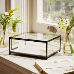 Natural History Museum Small Trinket Box 18cm -Cool Decoration 30752231 alt05