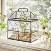 Natural History Museum Terrarium 37cm -Cool Decoration 30752233