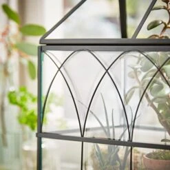 Natural History Museum Terrarium 37cm -Cool Decoration 30752233 alt03