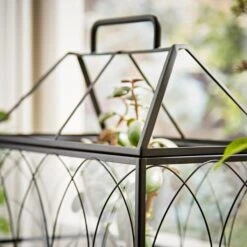 Natural History Museum Terrarium 37cm -Cool Decoration 30752233 alt04