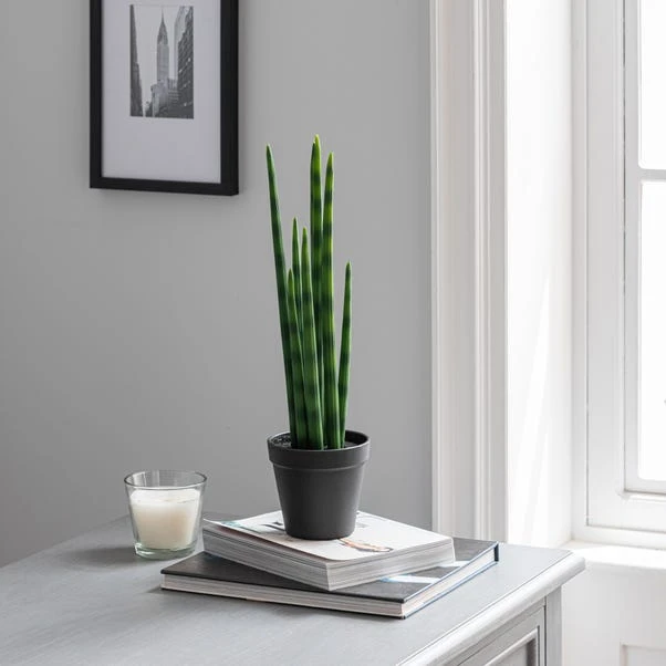 Dunelm Artificial Snake Plant In Black Pot 50cm 3 Dunelm Artificial Snake Plant In Black Pot 50cm