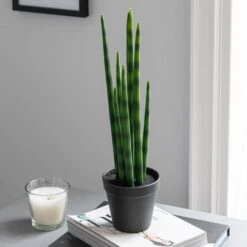 Dunelm Artificial Snake Plant In Black Pot 50cm 8 Dunelm Artificial Snake Plant In Black Pot 50cm -Cool Decoration 30752427 alt02