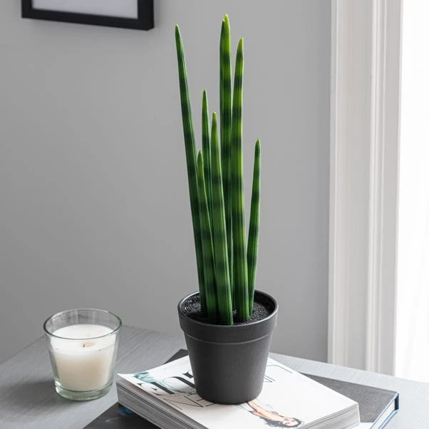 Dunelm Artificial Snake Plant In Black Pot 50cm 5 Dunelm Artificial Snake Plant In Black Pot 50cm - Image 3
