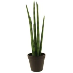 Dunelm Artificial Snake Plant In Black Pot 50cm 9 Dunelm Artificial Snake Plant In Black Pot 50cm -Cool Decoration 30752427 alt03
