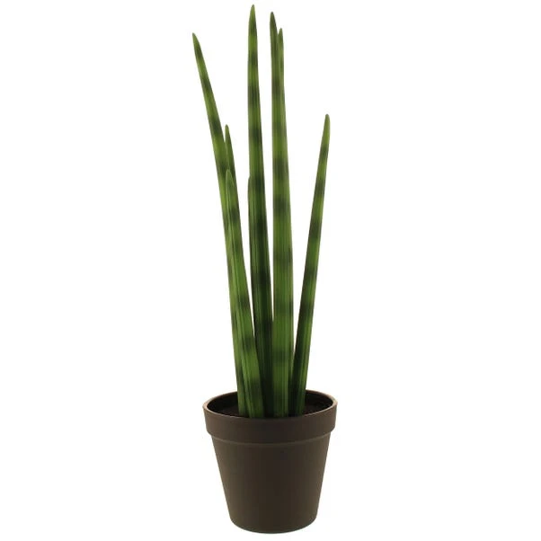 Dunelm Artificial Snake Plant In Black Pot 50cm 6 Dunelm Artificial Snake Plant In Black Pot 50cm - Image 4