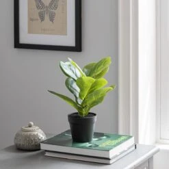Dunelm Artificial Fig In Black Pot 30cm