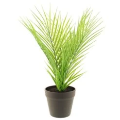 Dunelm Artificial Parlour Plant In Black Pot 30cm -Cool Decoration 30752433 alt04