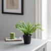 Dunelm Artificial Fern In Black Pot 30cm 2 Dunelm Artificial Fern In Black Pot 30cm -Cool Decoration 30752435