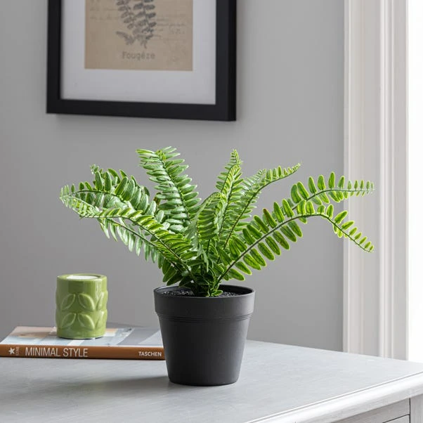 Dunelm Artificial Fern In Black Pot 30cm 5 Dunelm Artificial Fern In Black Pot 30cm - Image 3