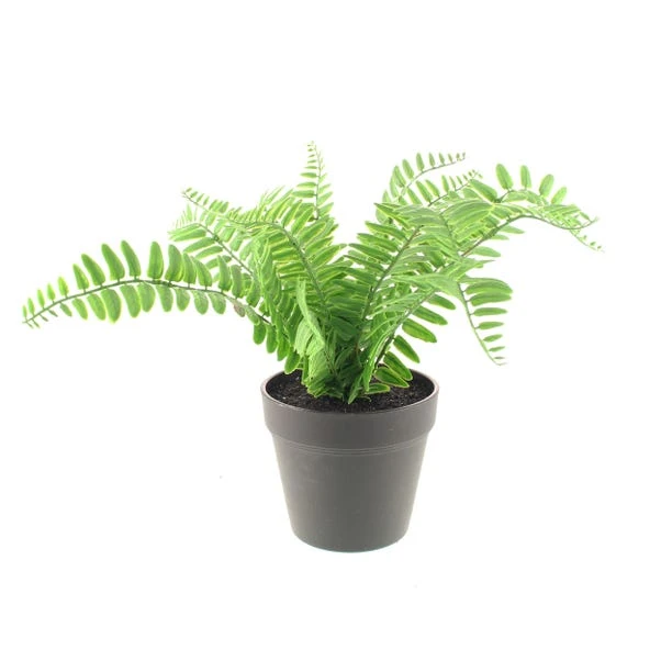 Dunelm Artificial Fern In Black Pot 30cm 6 Dunelm Artificial Fern In Black Pot 30cm - Image 4