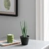 Dunelm Artificial Aloe Vera In Black Pot 24cm -Cool Decoration 30752437
