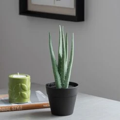 Dunelm Artificial Aloe Vera In Black Pot 24cm -Cool Decoration 30752437 alt02