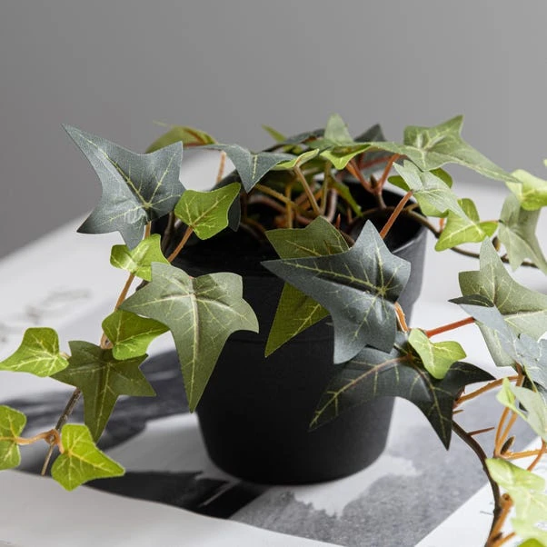 Dunelm Artificial Trailing Ivy In Black Pot 45cm 4 Dunelm Artificial Trailing Ivy In Black Pot 45cm - Image 2