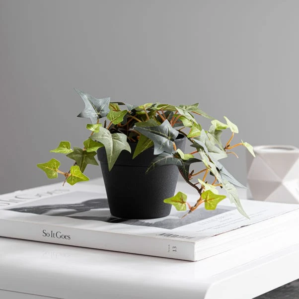 Dunelm Artificial Trailing Ivy In Black Pot 45cm 5 Dunelm Artificial Trailing Ivy In Black Pot 45cm - Image 3