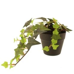 Dunelm Artificial Trailing Ivy In Black Pot 45cm 9 Dunelm Artificial Trailing Ivy In Black Pot 45cm -Cool Decoration 30752441 alt03