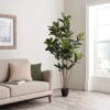 Dunelm Artificial Rubber Tree 180cm -Cool Decoration 30754631