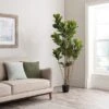 Dunelm Artificial Fig Tree 180cm 1 Dunelm Artificial Fig Tree 180cm -Cool Decoration 30754632