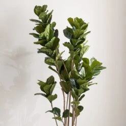 Dunelm Artificial Fig Tree 180cm -Cool Decoration 30754632 alt02