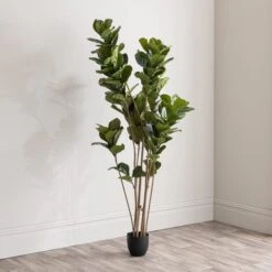 Dunelm Artificial Fig Tree 180cm -Cool Decoration 30754632 alt03