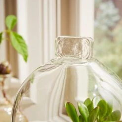 Natural History Museum Mango Wood Cloche 9 Natural History Museum Mango Wood Cloche -Cool Decoration 30756334 alt02