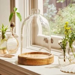 Natural History Museum Mango Wood Cloche 11 Natural History Museum Mango Wood Cloche -Cool Decoration 30756334 alt04