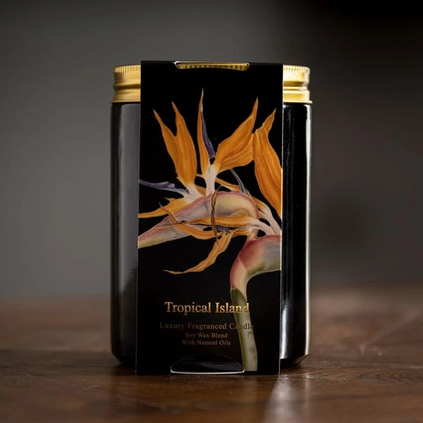 Natural History Museum Tropical Paradise Candle 410g 4 Natural History Museum Tropical Paradise Candle 410g - Image 2