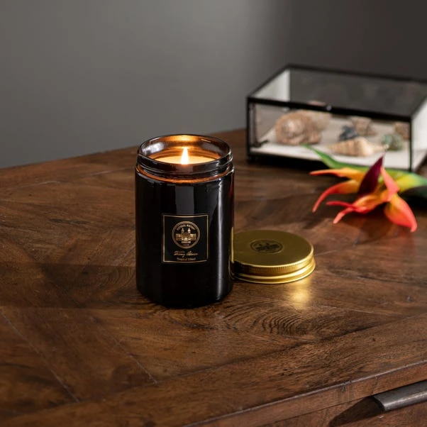 Natural History Museum Tropical Paradise Candle 410g 5 Natural History Museum Tropical Paradise Candle 410g - Image 3