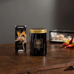 Natural History Museum Tropical Paradise Candle 410g 11 Natural History Museum Tropical Paradise Candle 410g -Cool Decoration 30757063 alt03