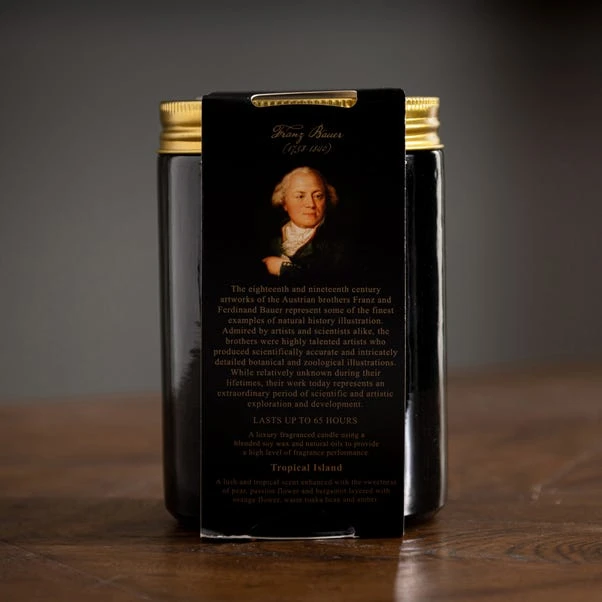 Natural History Museum Tropical Paradise Candle 410g 8 Natural History Museum Tropical Paradise Candle 410g - Image 6