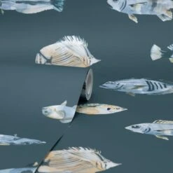 Dunelm Watercolour Fish Wallpaper 9 Dunelm Watercolour Fish Wallpaper -Cool Decoration 30757402 alt02