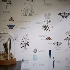 Natural History Museum Nature’s Study White Wallpaper -Cool Decoration 30757434 alt04
