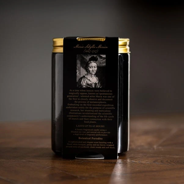 Natural History Museum Botanical Paradise Candle 8 Natural History Museum Botanical Paradise Candle - Image 6