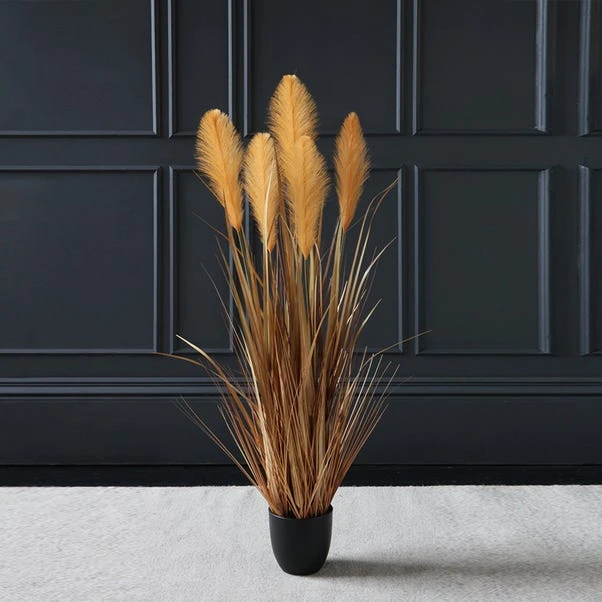 Scottish Everlastings Brown Potted Pampas 120cm 3 Scottish Everlastings Brown Potted Pampas 120cm